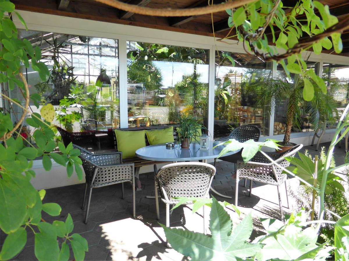Hotel Alte Gaertnerei Harkingen Ngoại thất bức ảnh